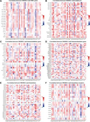 Pan-cancer analysis of CREB3L1 as biomarker in the prediction of prognosis and immunotherapeutic efficacy